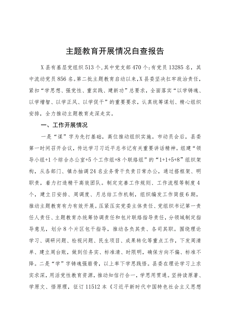 主题教育开展情况自查报告（3000字总结）.docx_第1页