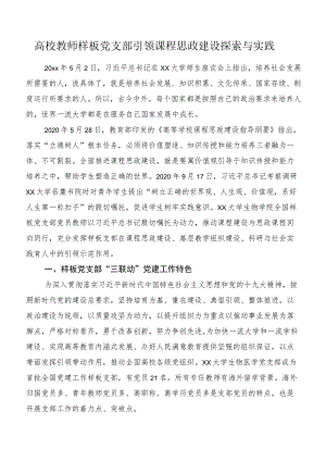 高校教师样板党支部引领课程思政建设探索与实践.docx