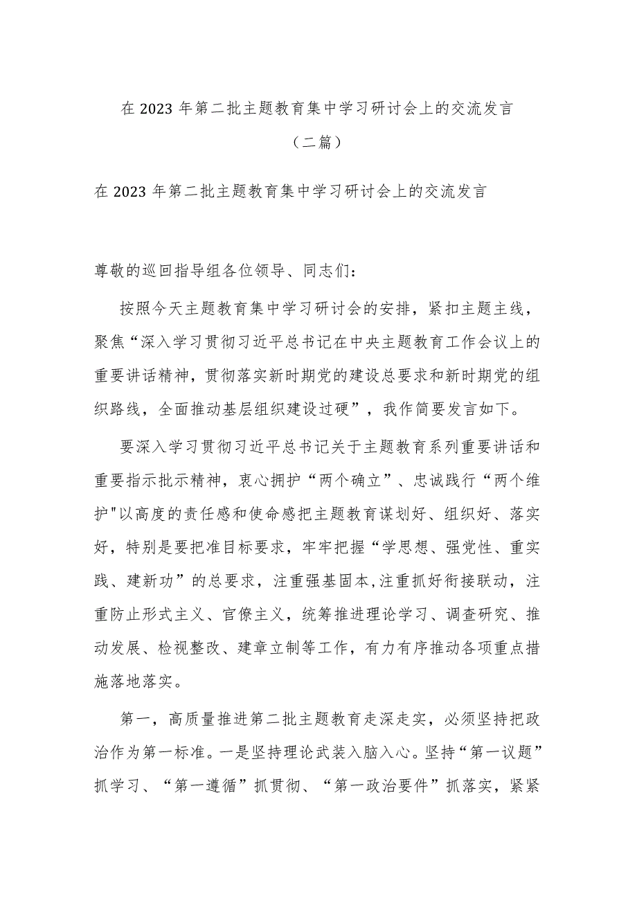 在2023年第二批主题教育集中学习研讨会上的交流发言(二篇).docx_第1页