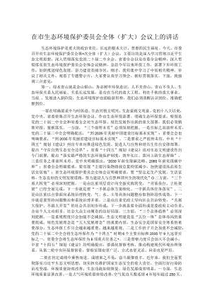 在市生态环境保护委员会全体（扩大）会议上的讲话.docx