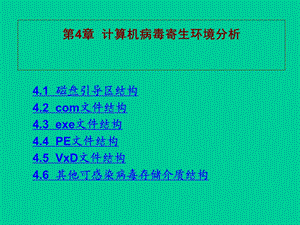 第4章计算机病毒寄生环境分析名师编辑PPT课件.ppt