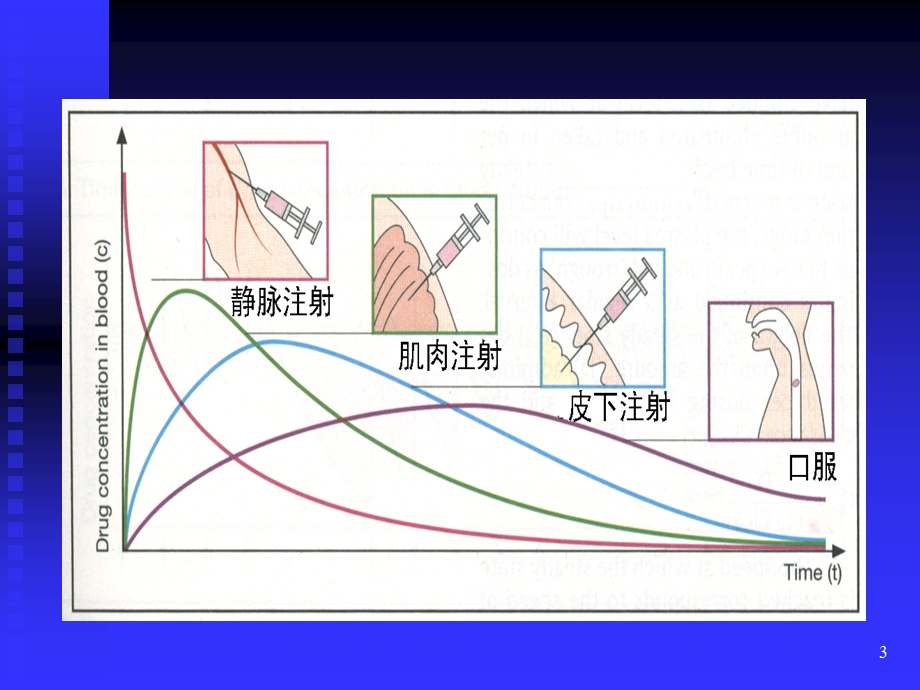 第4章影响药物作用因素.ppt_第3页