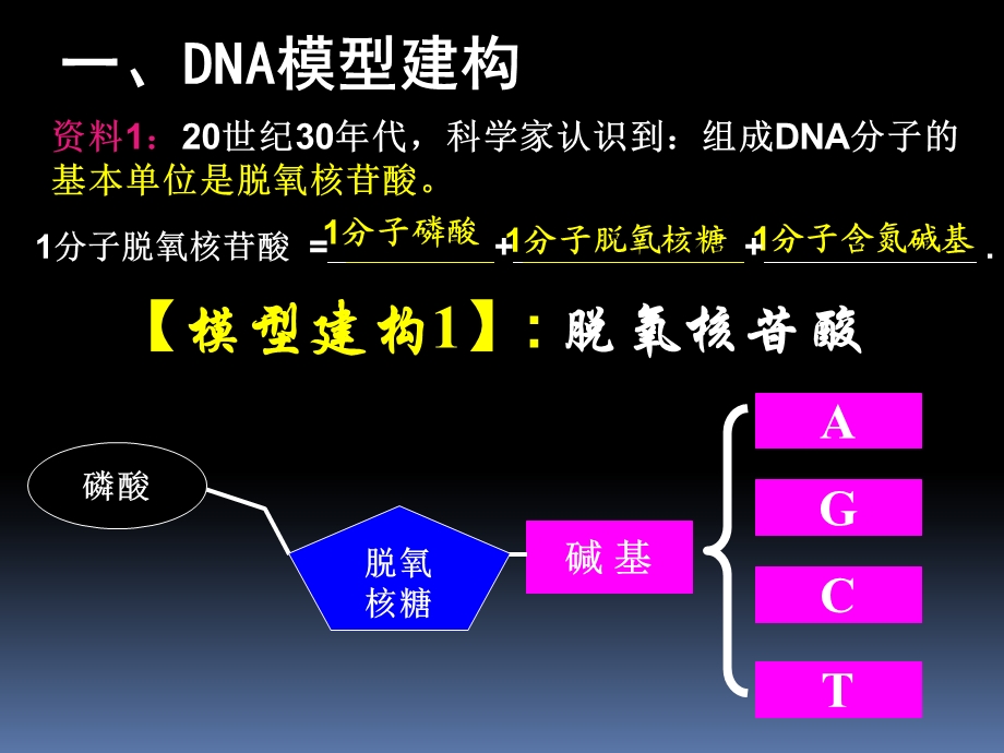 第3章第2节DNA分子结构.ppt_第3页