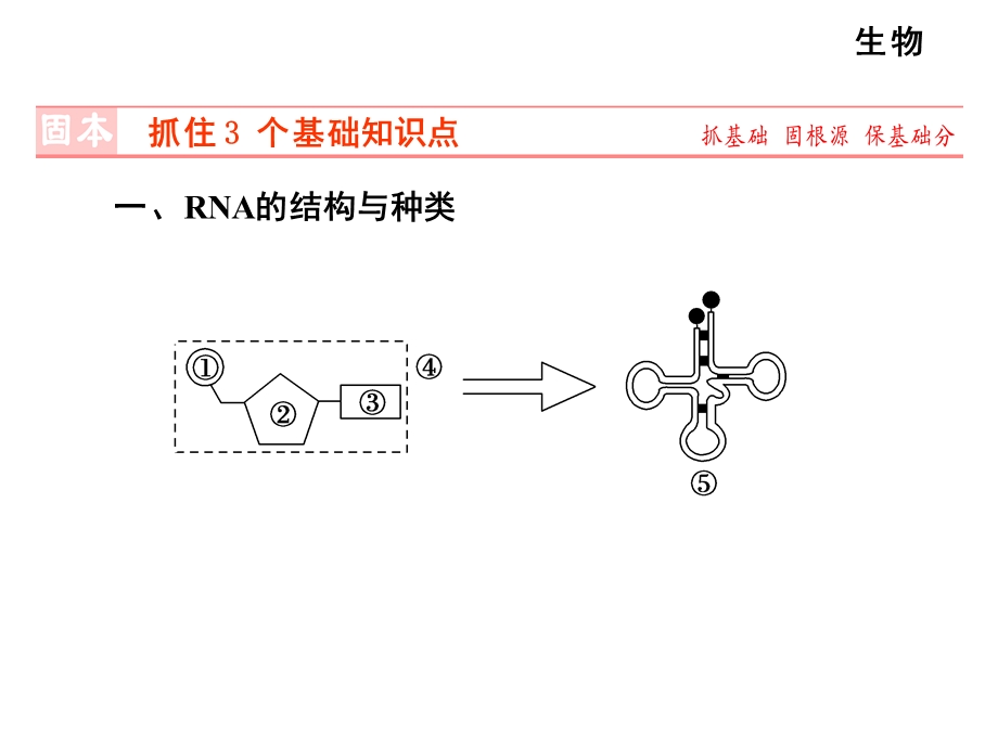 第3讲基因的表达.ppt_第2页