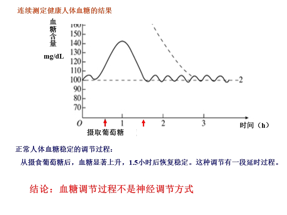 第3节内分泌系统中信息的传递和调节名师编辑PPT课件.ppt_第3页