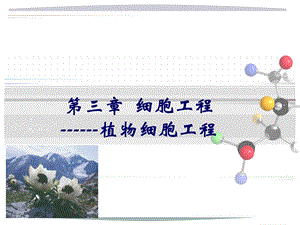 第3章细胞工程1植物细胞.ppt