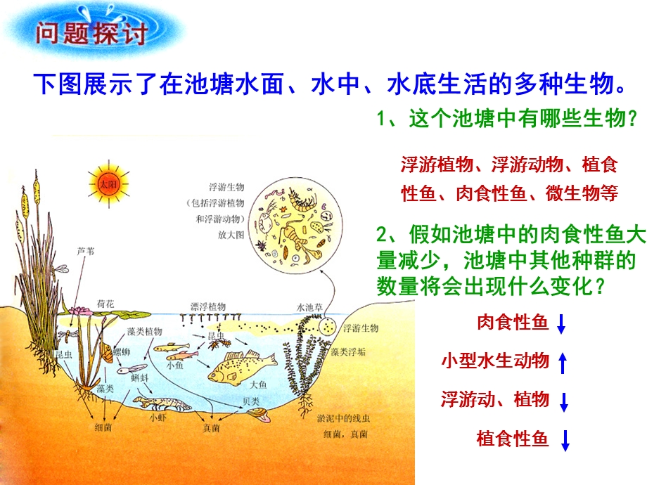 第4章种群和群落第3节群落的结构完成.ppt_第2页