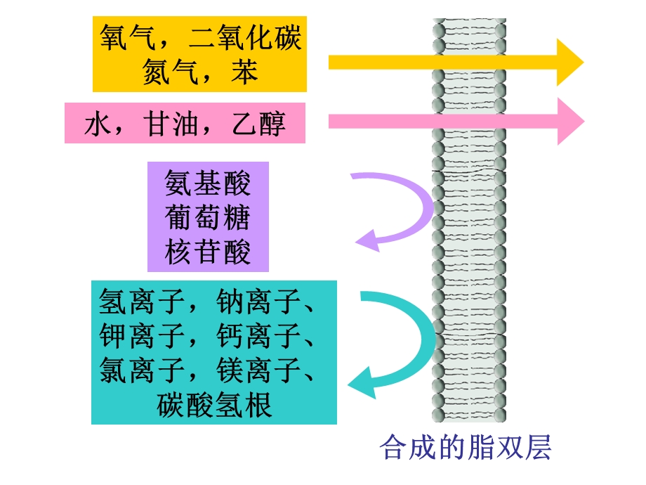 第3部分物质跨膜运输的方式名师编辑PPT课件.ppt_第2页