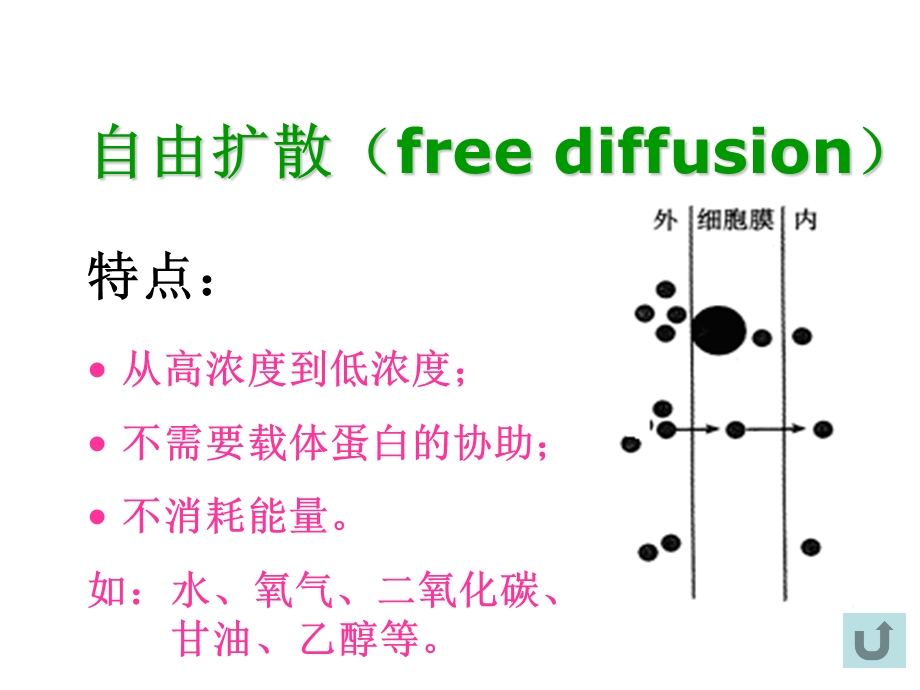 第3部分物质跨膜运输的方式名师编辑PPT课件.ppt_第3页