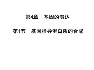 第4章基因的表达名师编辑PPT课件.ppt