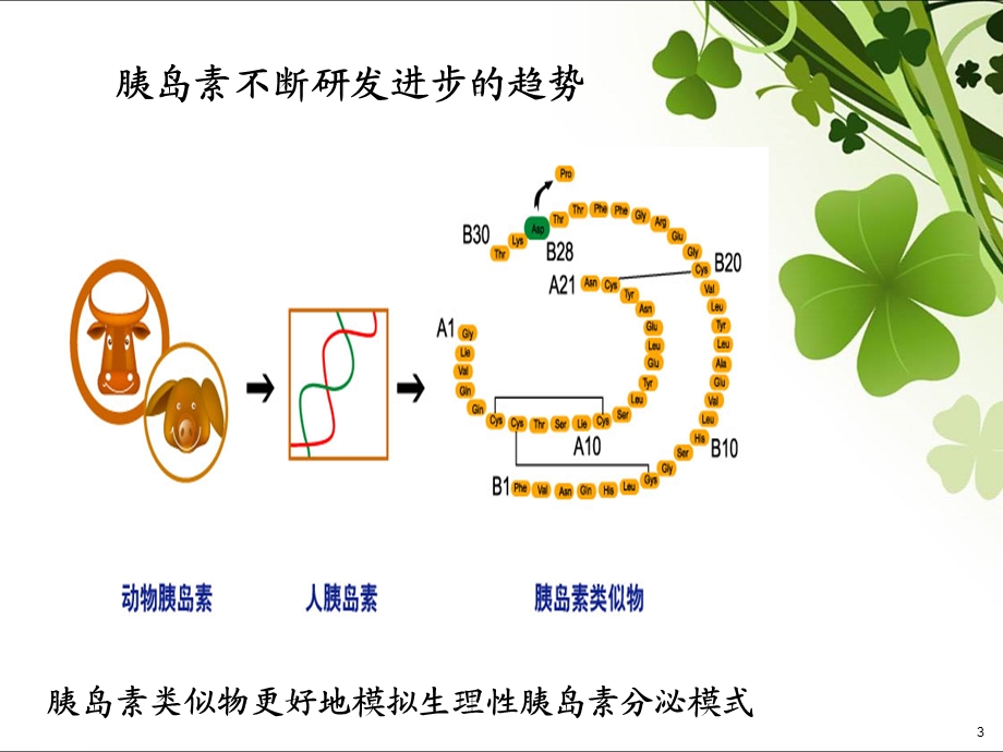 4月关于胰岛素使用部分问题.ppt_第3页