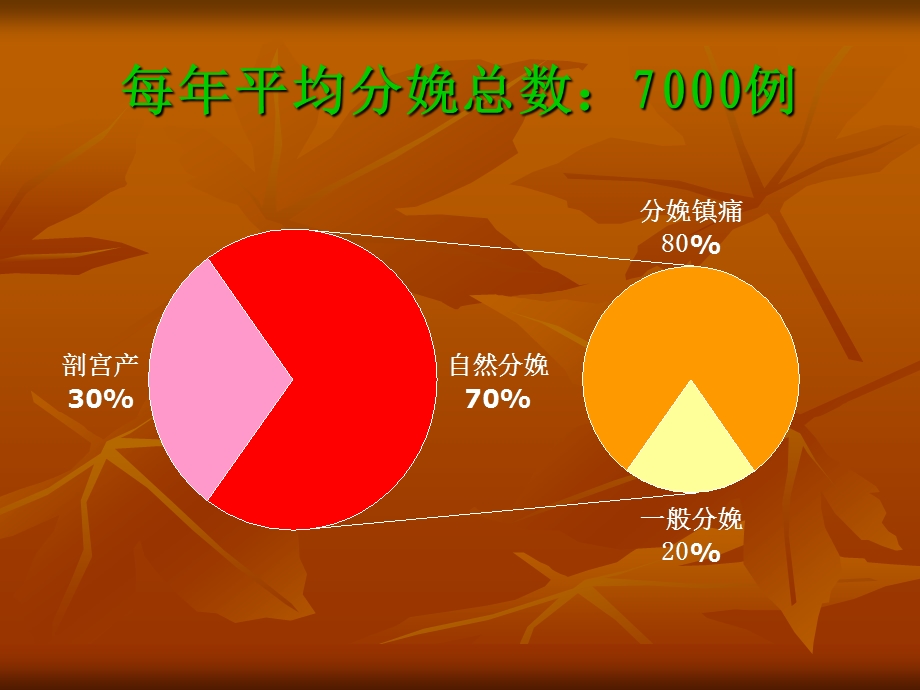 分娩镇痛管理及应用.ppt_第2页