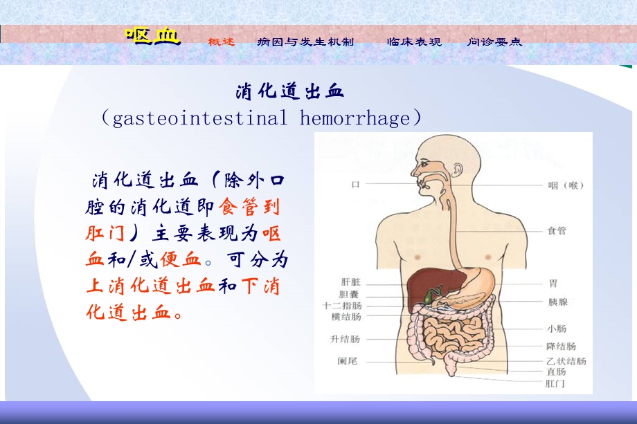 7.呕血便血.ppt_第2页