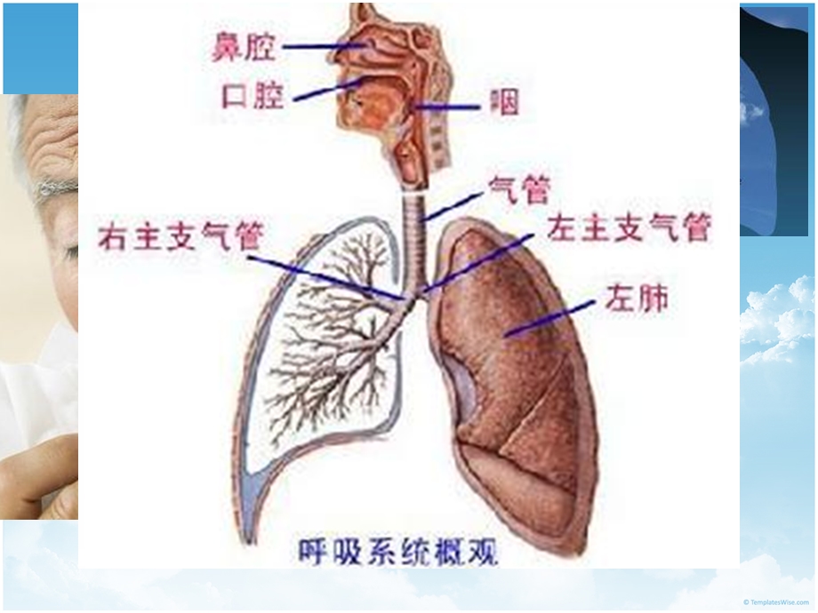 COPD健康宣教.ppt_第2页