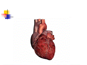 先天性心脏病2.ppt