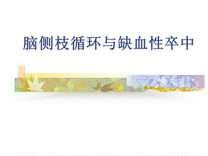 脑缺血侧枝循环治疗.ppt