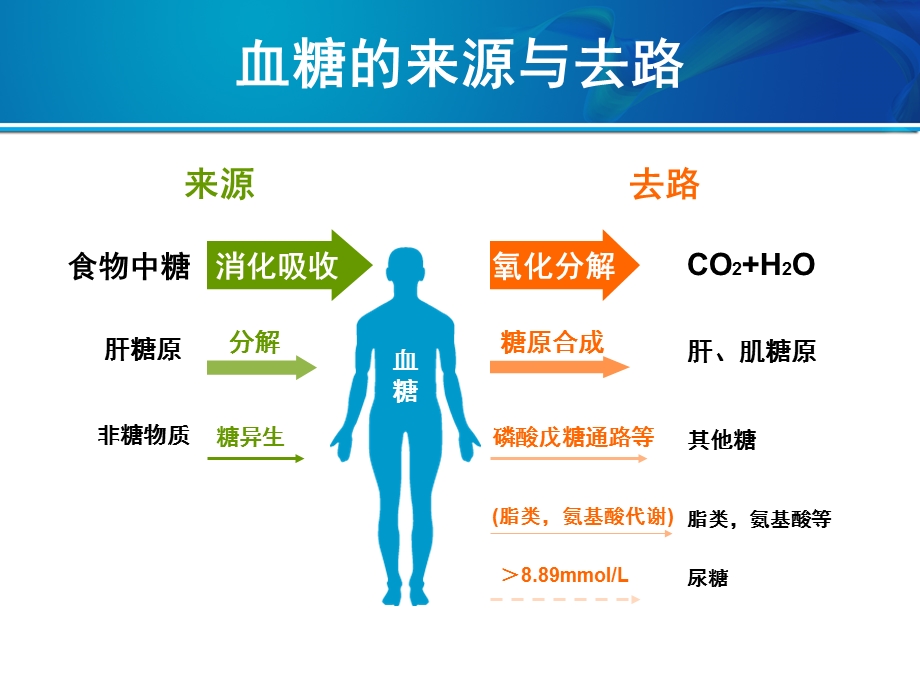 从B细胞功能看2型糖尿病治疗.ppt_第2页