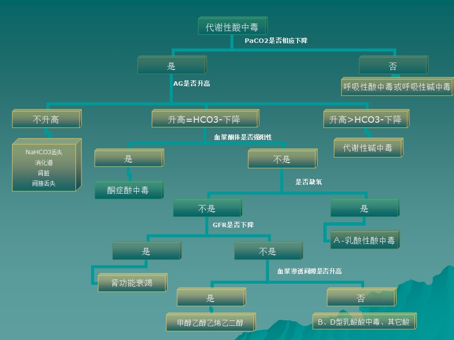 代谢性酸中毒的诊断程序和乳酸性.ppt_第3页