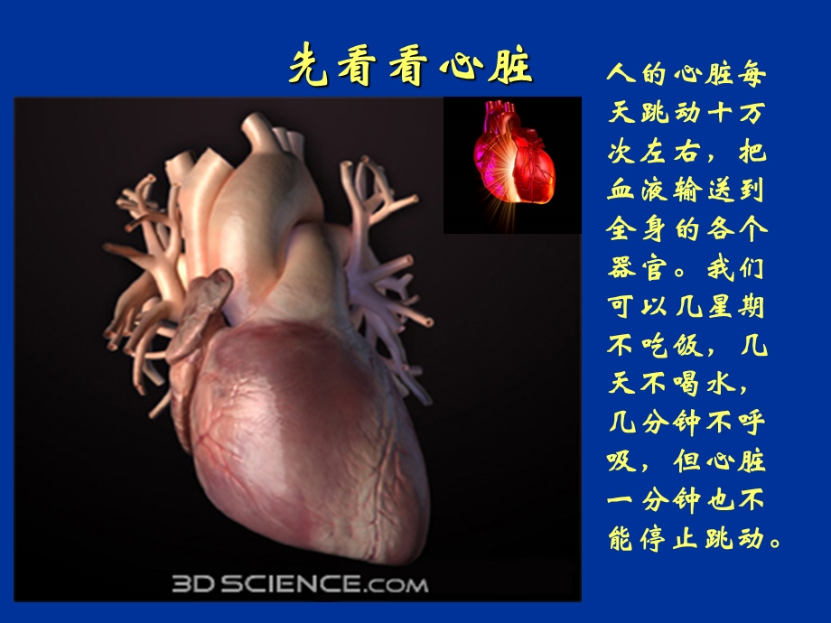 冠心病介入治疗简述.ppt_第2页