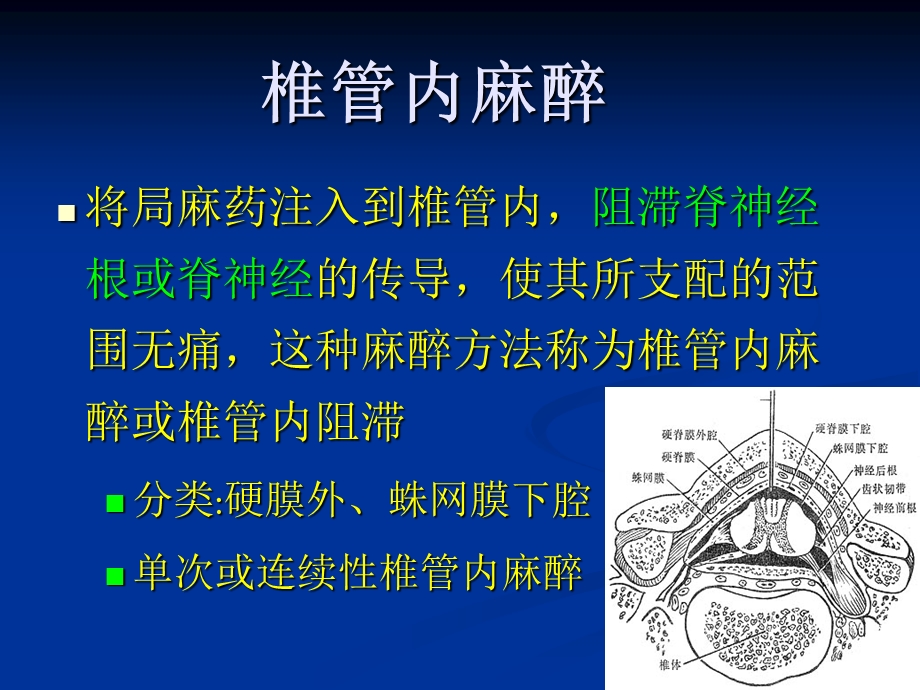 椎管内麻醉.ppt_第3页