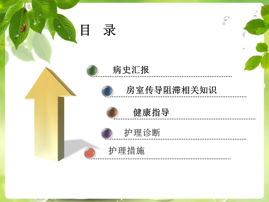 一例Ⅲ度房室传导阻滞病人的护理查房.ppt_第2页