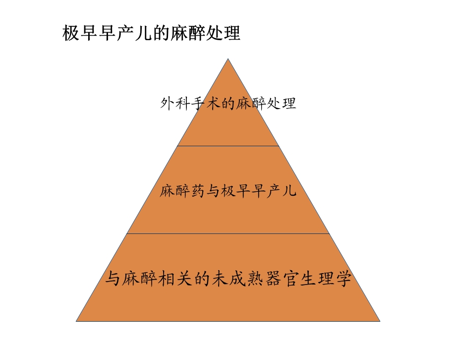 极早早产儿的麻醉处理.ppt_第2页