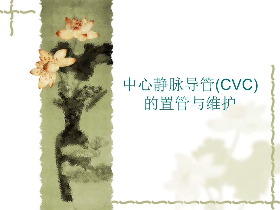 中心静脉导管(CVC)的置管与维护.ppt_第1页