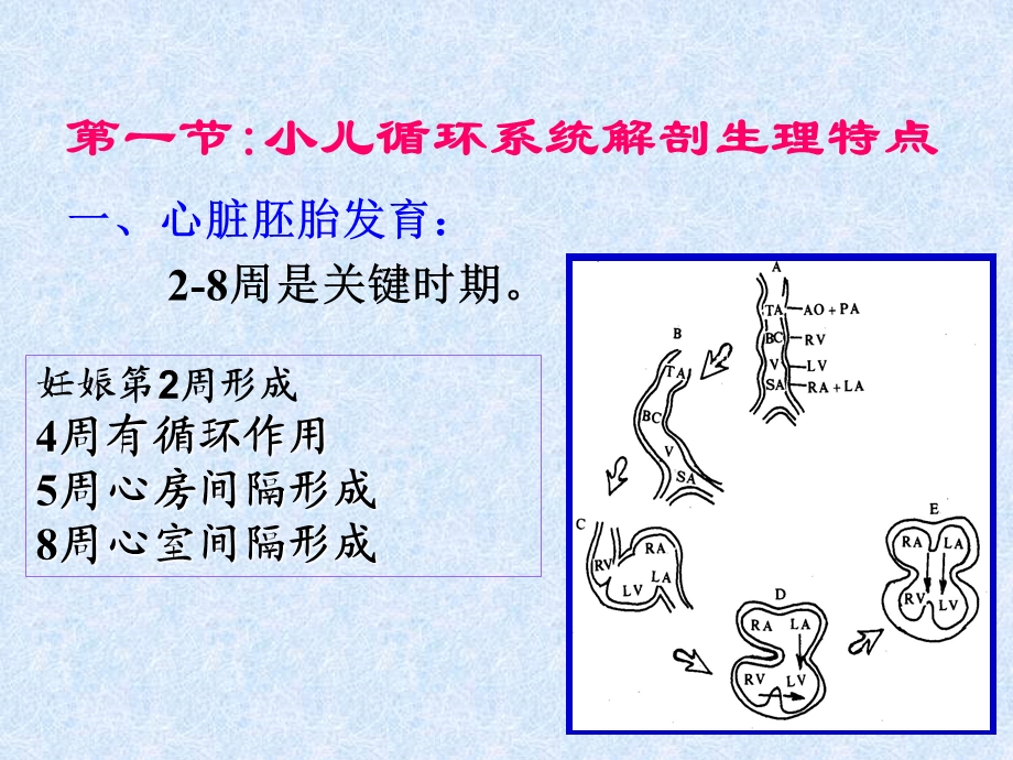 常见的几种先心病.ppt_第2页