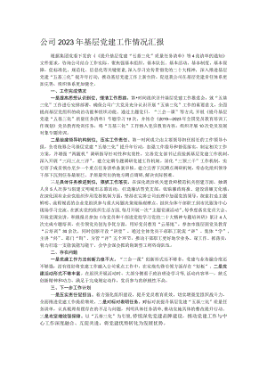 公司2023年基层党建工作情况汇报.docx