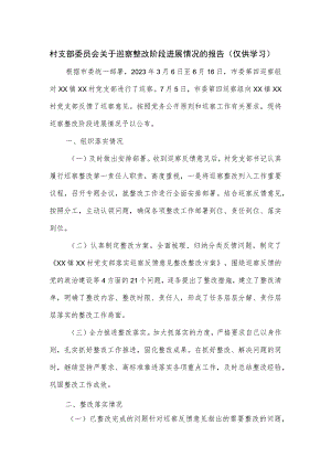 村支部委员会关于巡察整改阶段进展情况的报告.docx