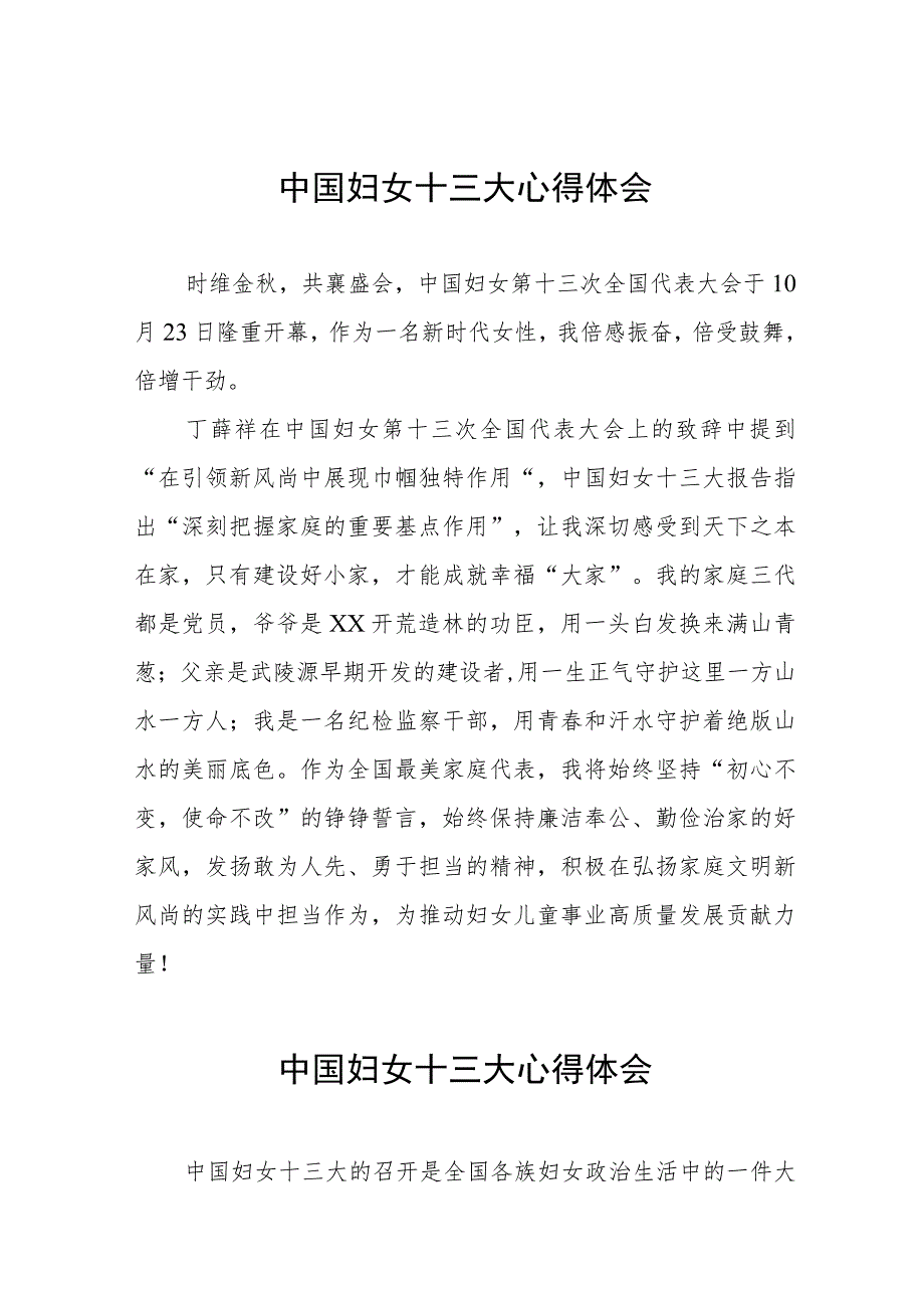 (十二篇)妇联干部学习中国妇女第十三次全国代表大会精神心得体会.docx_第1页