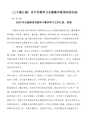 （二十篇汇编）关于开展学习主题集中教育阶段总结.docx