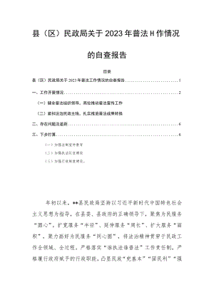 县（区）民政局关于2023年普法工作情况的自查报告.docx