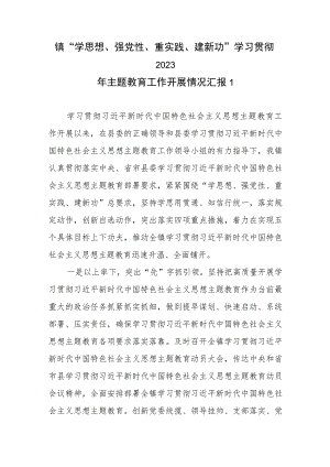 镇“学思想、强党性、重实践、建新功”学习贯彻2023年主题教育工作开展情况汇报.docx