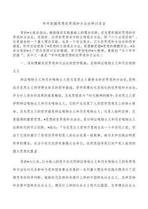 牢牢把握思想世界观和方法论研讨发言.docx