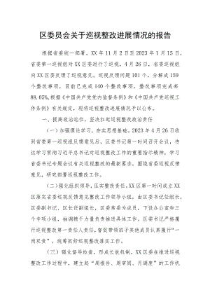 区委员会关于巡视整改进展情况的报告.docx