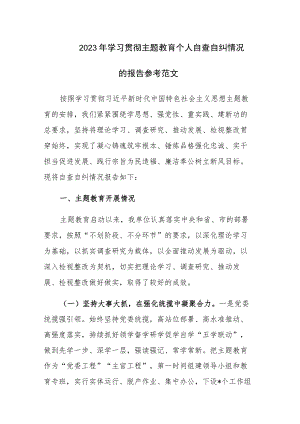 2023年学习贯彻主题教育个人自查自纠情况的报告参考范文.docx