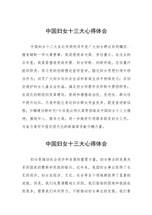 十四篇学习中国妇女十三大精神心得体会发言稿.docx