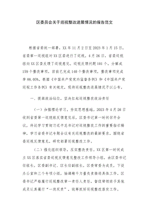 区委员会关于巡视整改进展情况的报告范文.docx