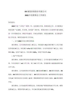 XX城投控股股份有限公司2022年度董事会工作报告.docx