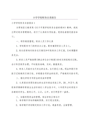 小学学校财务自查报告.docx