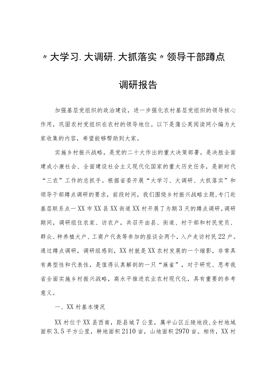 “大学习、大调研、大抓落实”领导干部蹲点调研报告.docx_第1页