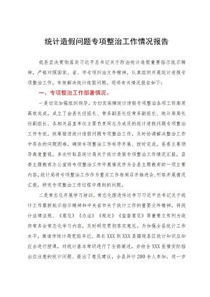 统计造假问题专项整治工作情况报告.docx