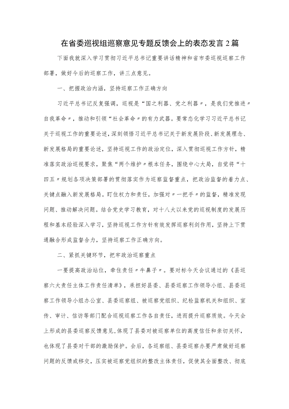 在省委巡视组巡察意见专题反馈会上的表态发言2篇.docx_第1页