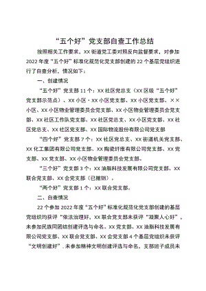 “五个好”党支部自查工作总结.docx