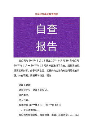 公司税务年度自查报告.docx