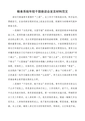 粮食系统年轻干部座谈会发言材料粮储青年.docx