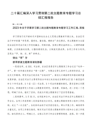 二十篇汇编深入学习贯彻第二批主题教育专题学习总结汇报报告.docx