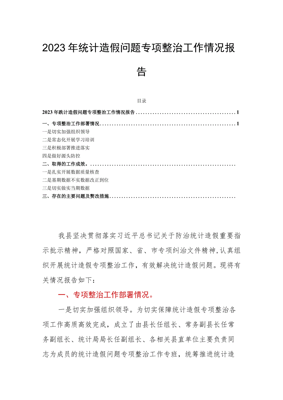 2023年统计造假问题专项整治工作情况报告.docx_第1页