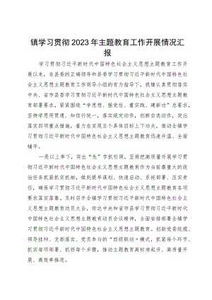 镇学习贯彻2023年主题教育工作开展情况汇报.docx